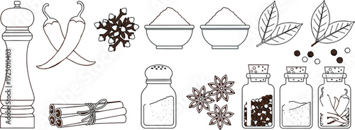 Spices and Seasonings Collection for Culinary Design and Kitchen Branding