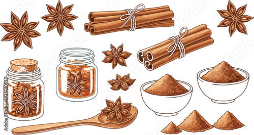 Star Anise and Cinnamon Stick Set Vector Illustration with Powder and Jar