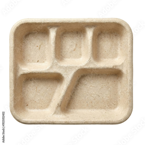 Canvas Print Compostable molded pulp food tray with five compartments