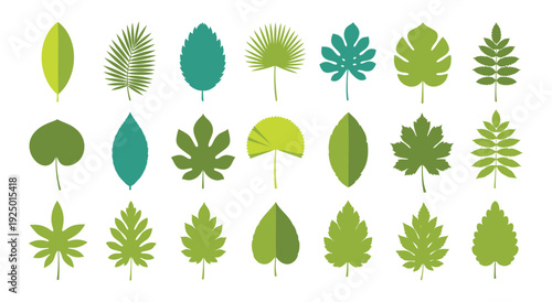 Collection of various green leaves in different shapes