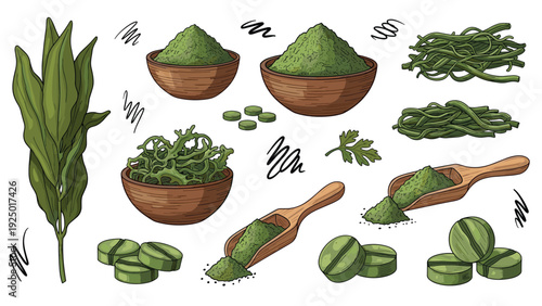 Comprehensive set of spirulina and chlorella superfood products including leaves, powder, tablets, and wooden measuring scoops.