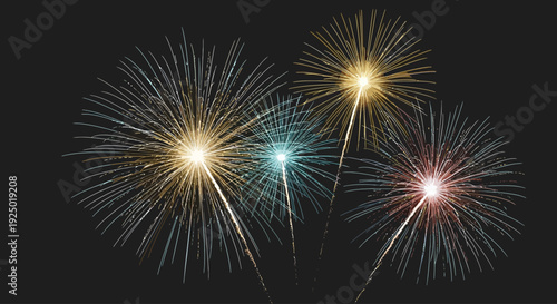 Festive colorful fireworks display bursting in the night sky