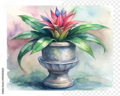 Tropical Urn Plant Watercolor, Exotic Bromeliad Botanical Illustration Isolated on White