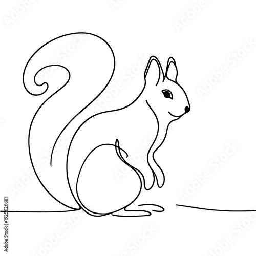 squirrel one line art vector illustration