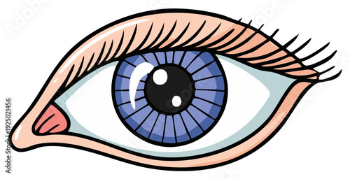Cartoon style illustration of a detailed blue eye with long eyelashes