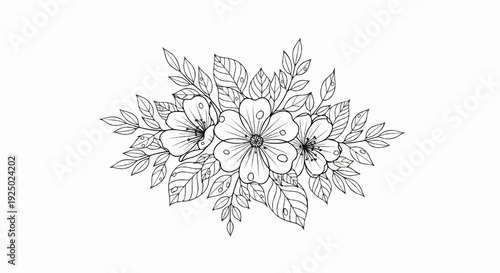 Delicate line drawing of cherry blossoms and leaves, a botanical sketch