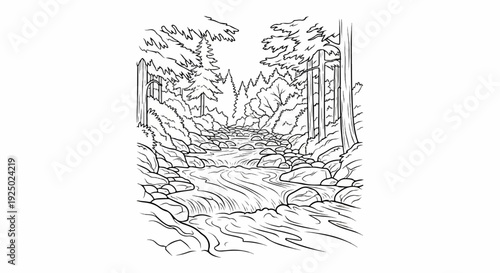 A detailed line drawing of a forest stream with rocks and trees