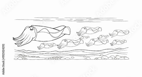 A school of cuttlefish swims gracefully over a rocky seabed