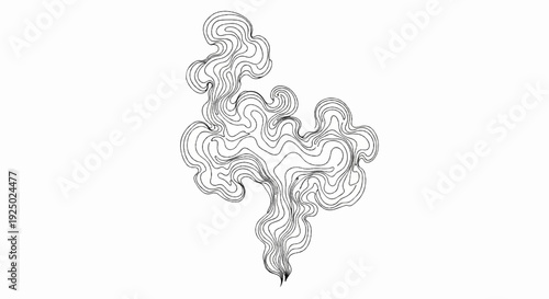 Abstract black and white swirling linear design resembling smoke or clouds