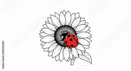 A vibrant red ladybug rests on a detailed black and white sunflower