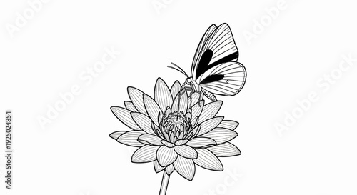 Delicate line art of a butterfly perched atop a water lily