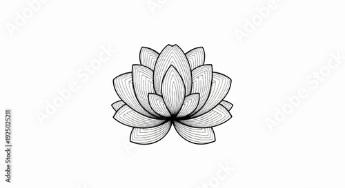 Intricate line art sketch of a blooming lotus flower in black and white