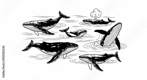 Stylized illustration of a pod of whales breaching and swimming in gentle waves