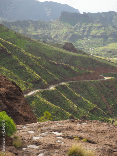 strada tra le verdi colline del canyon 