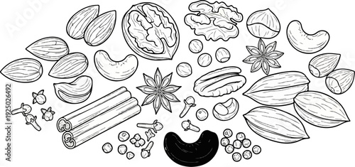 Assorted nuts and spices arranged in a scattered pattern, line drawing