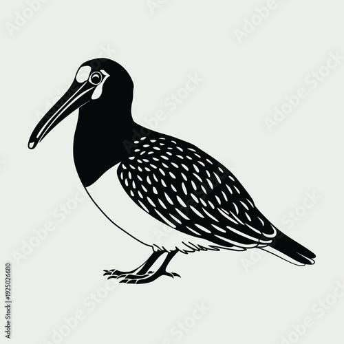 Black and white bird with a long beak standing on one leg in a stylized illustration isolated on white background, Vector, illustration