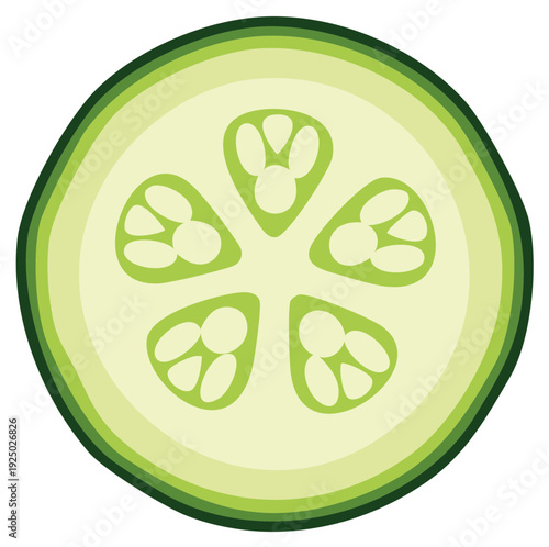 Abstract cross-section of a green cucumber with visible seeds and white pith illustration