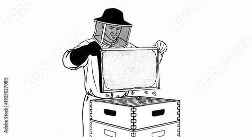 Beekeeper in protective gear inspects honeycomb frame above stacked hives