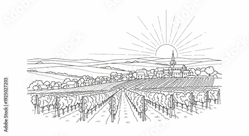 Sunrise over a village nestled among rolling hills and vineyards