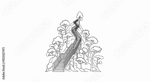 Elevated wooden walkway winding through lush forest canopy