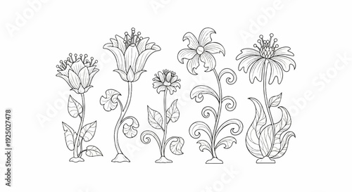 Detailed sketch of diverse floral elements on a white background