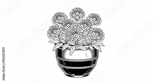 Detailed black and white illustration of a flowering plant in a decorative pot