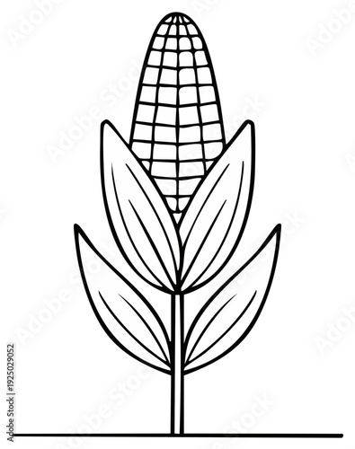 Simple outline drawing of a single corn cob with green leaves and stem