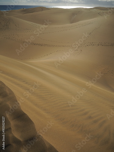 dune nel deserto e impronte con mare