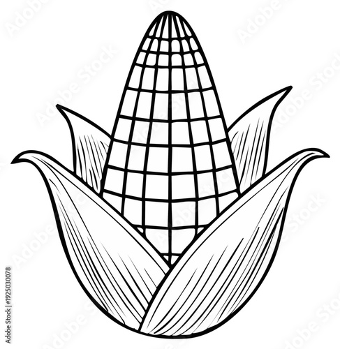 Simple outline drawing of a corn cob with husks and kernels shown in a grid pattern
