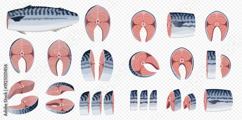 Fresh mackerel fish and various cuts illustration set on transparent background.