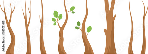 Set of various tree trunks with branches and green leaves, isolated vector illustration of forest elements on white background for design use