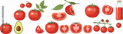 Fresh Tomato Cartoon Vector Set with Whole, Sliced, Cherry Tomatoes and Juice Bottle Illustration