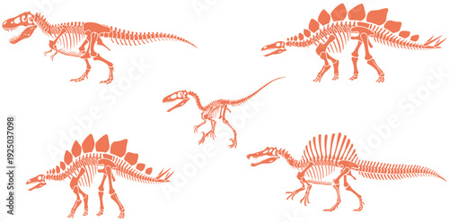 Prehistoric Wonders: Five distinctive dinosaur skeletons stand out, showcasing the grandeur of the prehistoric era. A fascinating study of creatures from an age long past, revealing ancient life.