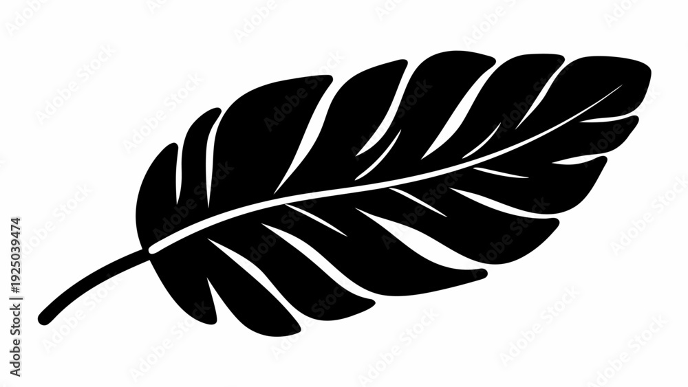 Fototapeta premium Large black tropical leaf on white background