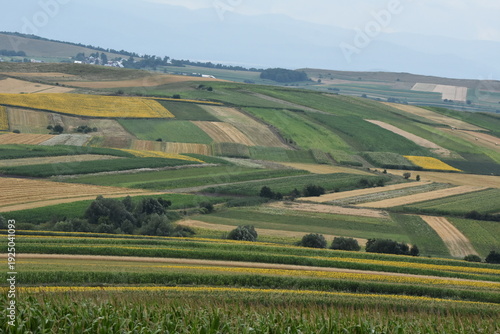 Vibrant fields stretch across rolling hills under a cloudy sky, showcasing a patchwork of crops in the rural landscape