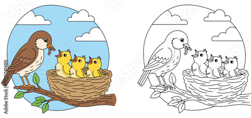 Mother Bird Feeding Worm to Baby Chicks in Nest Illustration Set with Coloring Page Outline, Cartoon Nature Scene on Tree Branch for Kids Education and Activity Book Vector