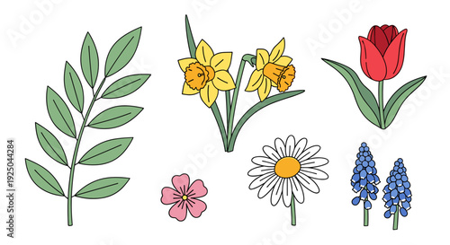 A collection of various colorful flowers including daffodils, tulips, daisies, and bluebells in a vibrant flat vector style, suitable for floral design projects and nature themes