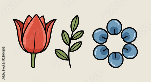 A collection of a red tulip flower, green leaf, and blue blueberries in flat minimalist vector style, suitable for botanical illustrations and nature-themed design