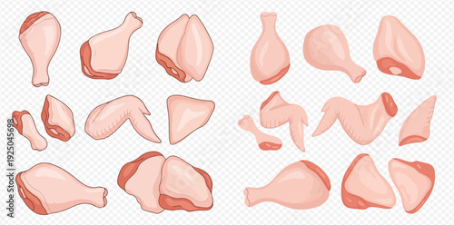 Set of raw chicken meat parts including drumsticks, wings, thighs, and breasts for cooking.