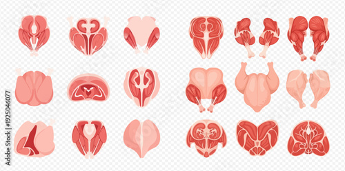 Various cuts of raw meat and poultry, including chicken, beef, and pork, for cooking and culinary use.