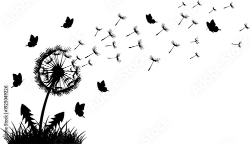 Black silhouette of a dandelion blowball and flying butterflies in a summer meadow, nature-inspired floral vector illustration.
