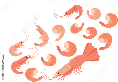 Minimal shrimp circular arrangement, fresh seafood prawns in round composition, modern marine food concept clean vector illustration