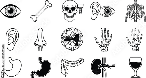 Human anatomy organ and skeleton icon set medical body parts vector illustration isolated on white background