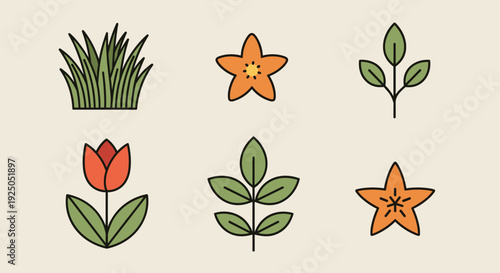 A collection of colorful floral and plant illustrations in minimalist vector style, ideal for nature-themed designs and decor