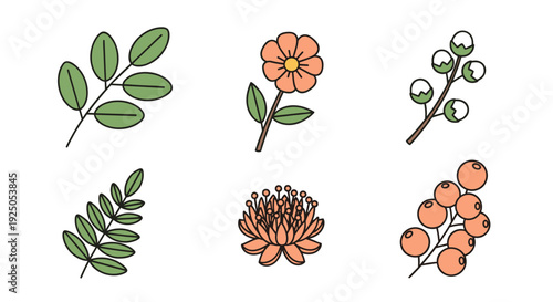 A collection of various leaves and flowers in a flat minimalist vector style, suitable for botanical designs and nature-themed projects