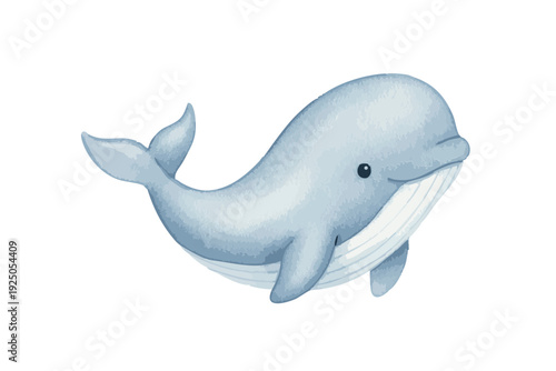 Cute baby whale swimming underwater in the ocean.