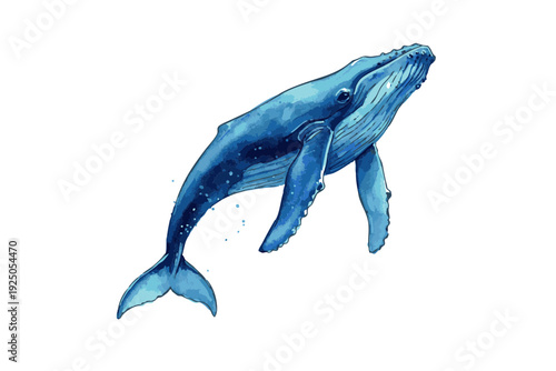 Majestic blue whale swimming gracefully in the ocean depths.