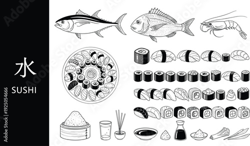 Japanese Sushi and Seafood Collection with Fish Nigiri Maki Rolls Sashimi Rice Bowl and Soy Sauce Hand Drawn Vector Illustration