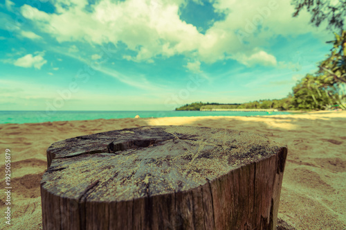 Fotografie stump table on the beach