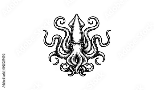 Giant squid kraken mascot woodcut tattoo vector nautical vintage emblem